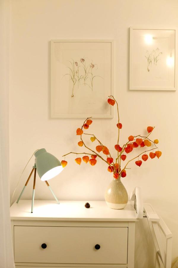 Jasmine Serenity Apartment - Central, Behind Black Church Brasov Ngoại thất bức ảnh